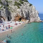 Daire Tara Brseč
